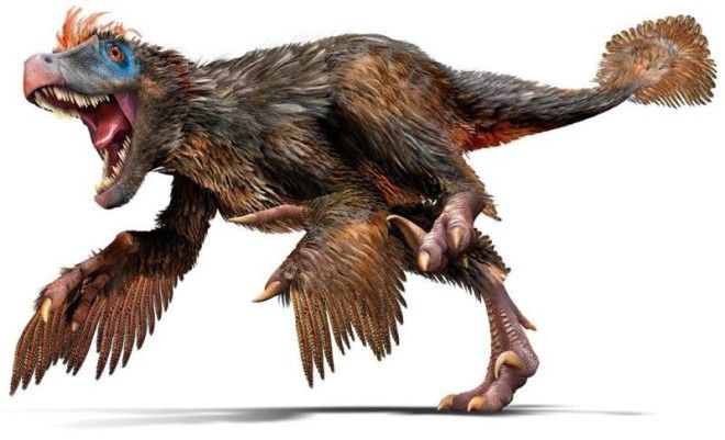 5 новейших фактов о динозаврах 18