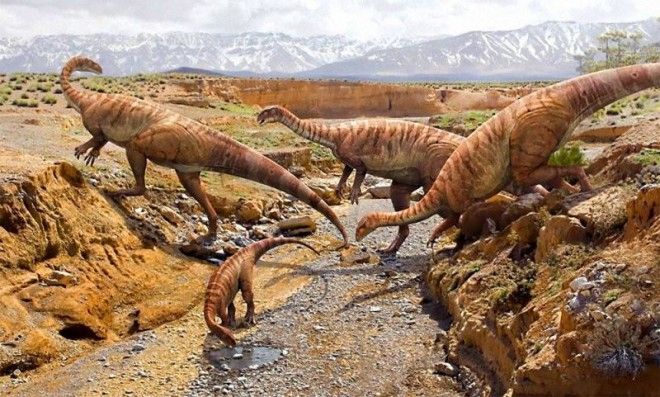 5 новейших фактов о динозаврах 20