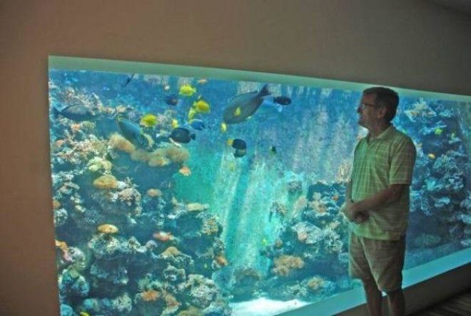 Израильтянин создал самый большой в стране аквариум для гостиной 33