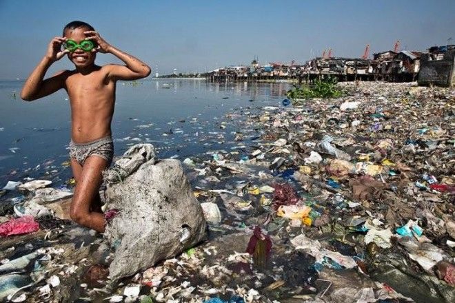 22 жутчайших фото-факта о том, как мусор убивает нашу планету 49