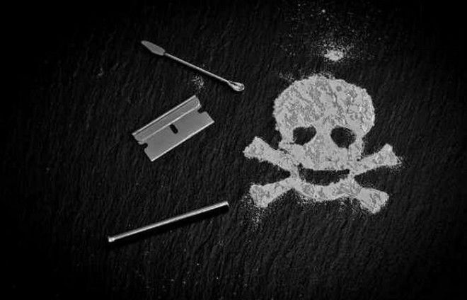 5 фактов о кокаине, которые вы не знали 17
