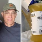 Том Хэнкс с женой выздоровели от COVID-19 и стали донорами плазмы крови. В сети шутят, что это спасёт весь мир