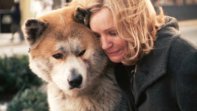 10 лучших фильмов про животных, их преданность и трогательную дружбу с людьми 32