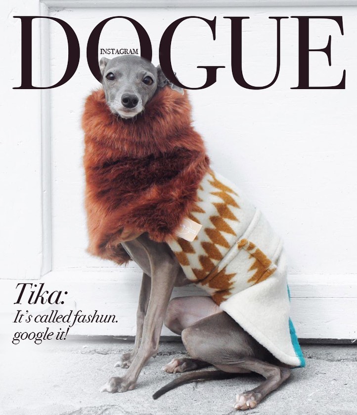 Хозяева собак превратили журнал Vogue в Dogue. И теперь в тренде виляющий хвост и мокрый носик 48
