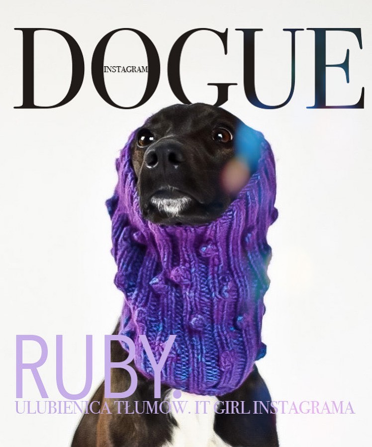 Хозяева собак превратили журнал Vogue в Dogue. И теперь в тренде виляющий хвост и мокрый носик 55