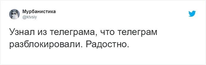 Роскомнадзор официально заявил о снятии ограничений с Telegram спустя два года: шутки и реакция соцсетей 47