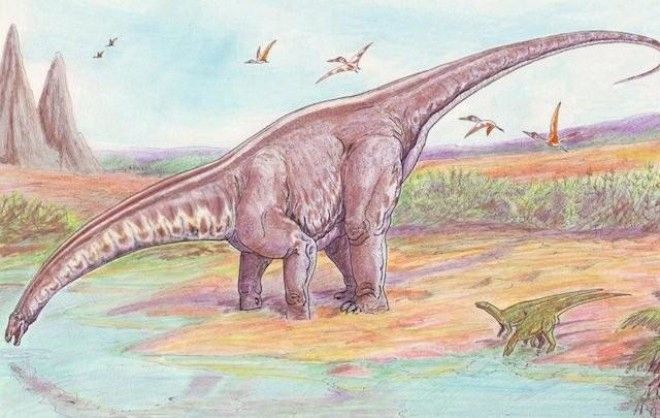 Факты про динозавров, вселяющие ужас 22