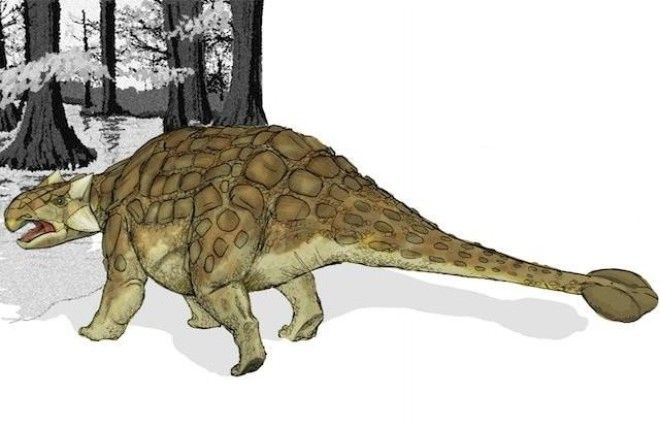 Факты про динозавров, вселяющие ужас 23