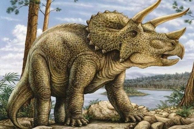 Факты про динозавров, вселяющие ужас 24
