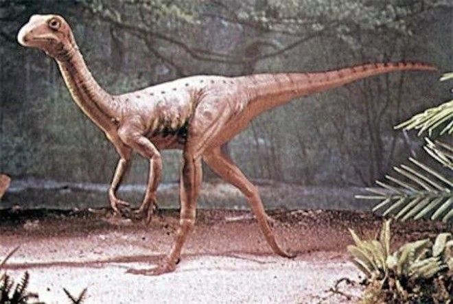 Факты про динозавров, вселяющие ужас 25