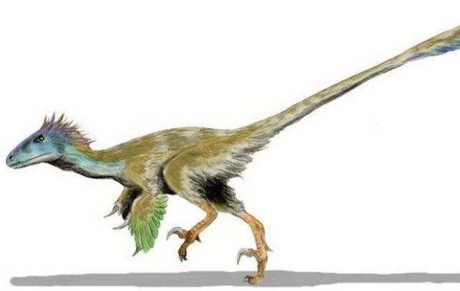 Факты про динозавров, вселяющие ужас 26