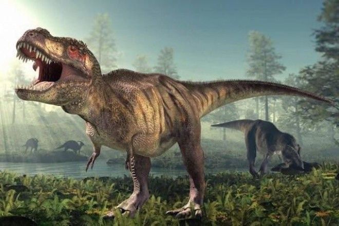 Факты про динозавров, вселяющие ужас 28