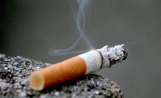 Скрытый резерв сигарет: когда яд может спасти 25