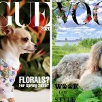 Хозяева собак превратили журнал Vogue в Dogue. И теперь в тренде виляющий хвост и мокрый носик