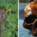 Учёные нашли останки мужчины, жившего 8000 лет назад на территории Швеции, и восстановили его внешность