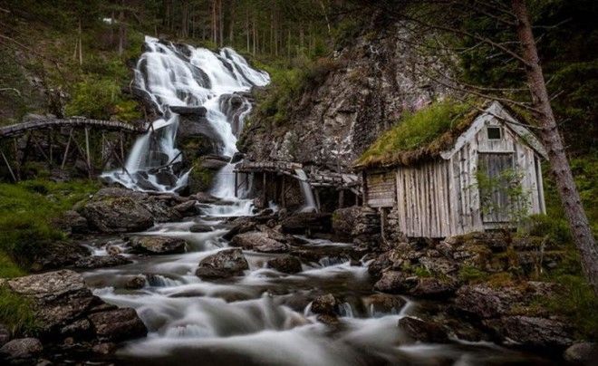 Скандинавские домики с заросшей крышей, в которых хочется поселиться немедленно 52