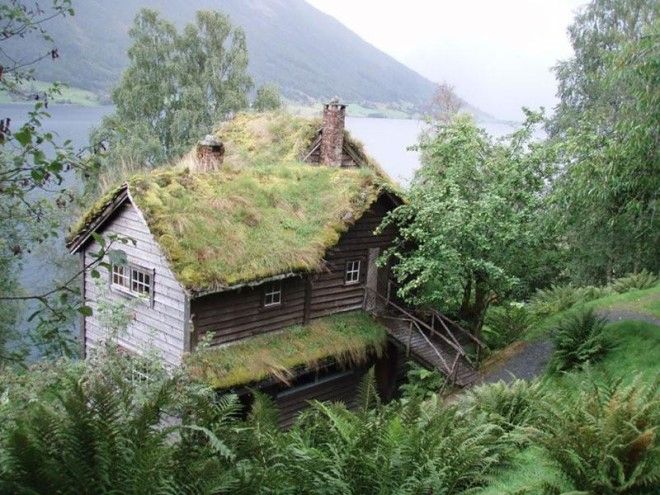 Скандинавские домики с заросшей крышей, в которых хочется поселиться немедленно 54