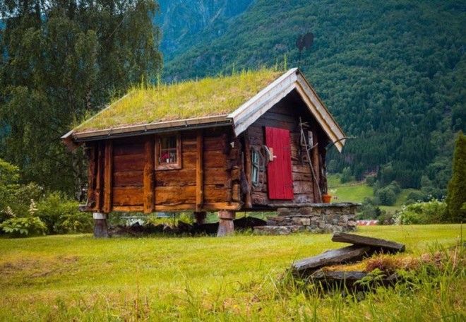 Скандинавские домики с заросшей крышей, в которых хочется поселиться немедленно 58