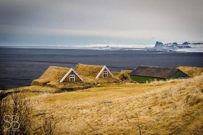 Скандинавские домики с заросшей крышей, в которых хочется поселиться немедленно 59