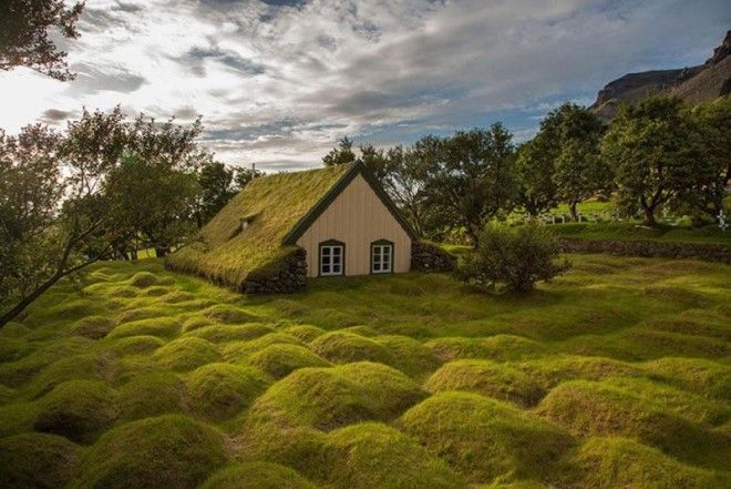 Скандинавские домики с заросшей крышей, в которых хочется поселиться немедленно 49