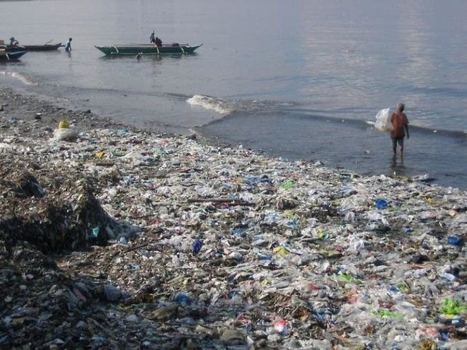 Человечеству нужно немедленно уменьшить использование пластика! Пугающие факты 40