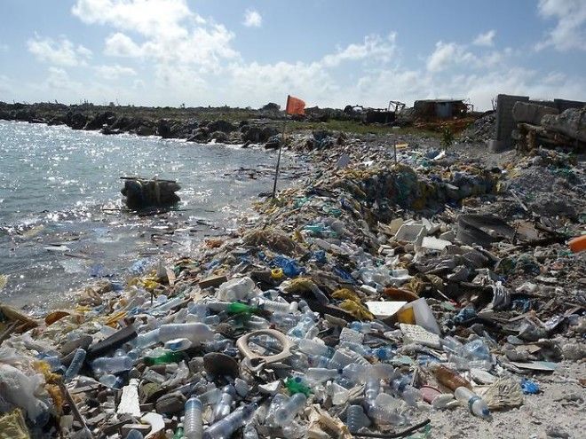 Человечеству нужно немедленно уменьшить использование пластика! Пугающие факты 49