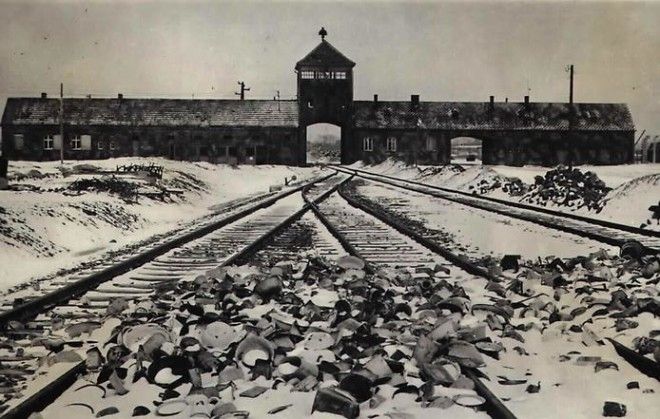 Концлагерь Освенцим. Музей Аушвиц-Биркенау 48