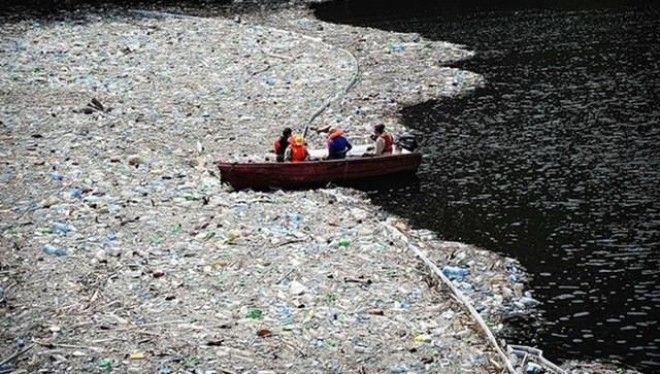 Человечеству нужно немедленно уменьшить использование пластика! Пугающие факты 41
