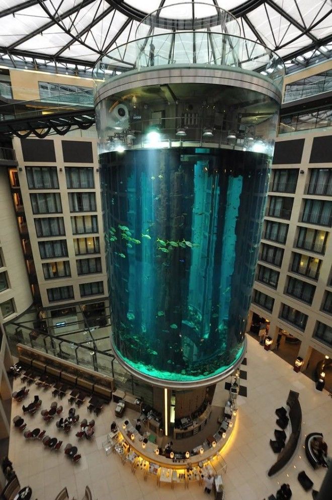 Гигантский аквариум в отеле Radisson Blu 37