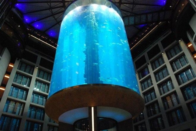 Гигантский аквариум в отеле Radisson Blu 38