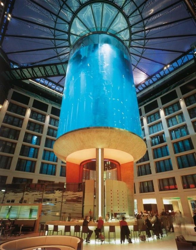 Гигантский аквариум в отеле Radisson Blu 40