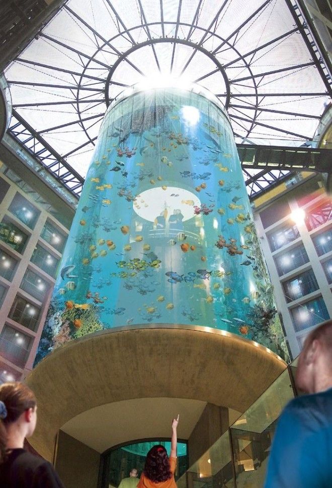 Гигантский аквариум в отеле Radisson Blu 26