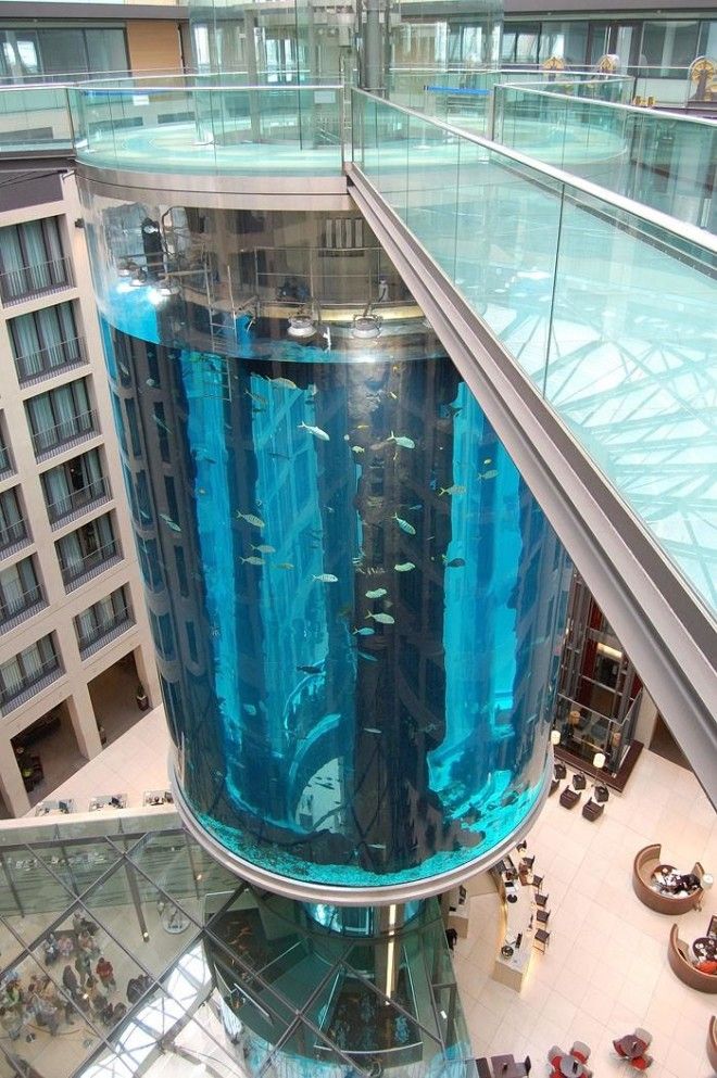 Гигантский аквариум в отеле Radisson Blu 27