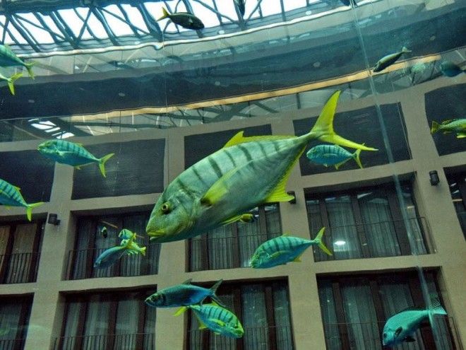 Гигантский аквариум в отеле Radisson Blu 39