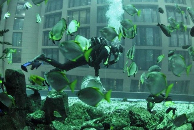Гигантский аквариум в отеле Radisson Blu 29