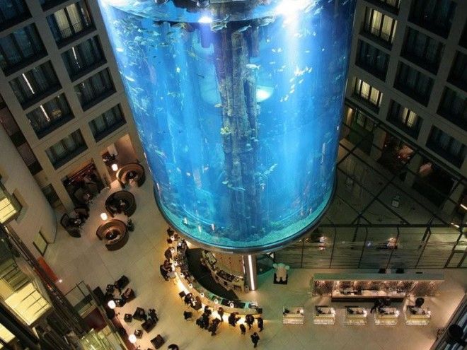 Гигантский аквариум в отеле Radisson Blu 34