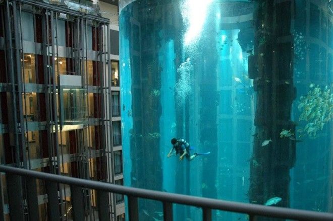 Гигантский аквариум в отеле Radisson Blu 36