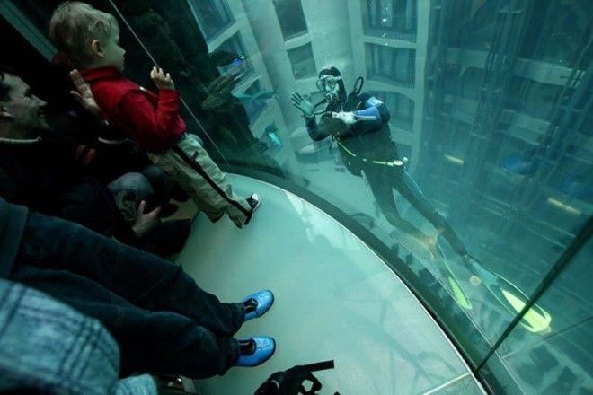 Гигантский аквариум в отеле Radisson Blu 35