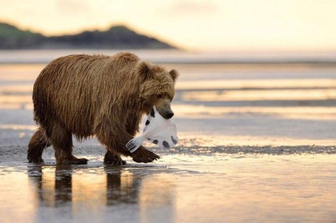 15 самых красивых мест на Аляске 37