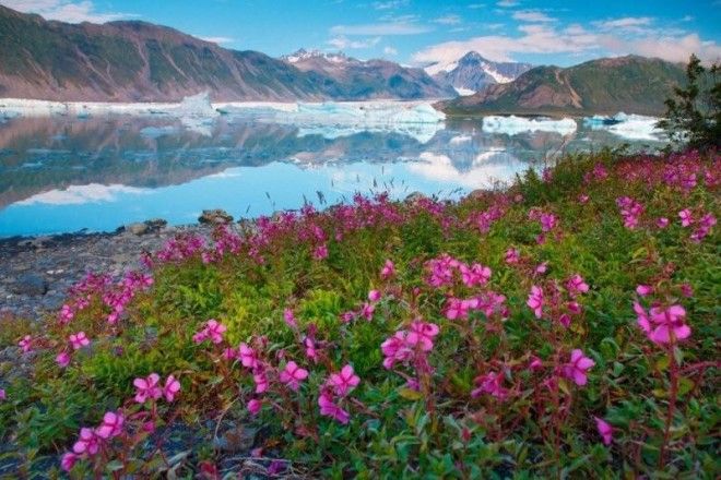 15 самых красивых мест на Аляске 41