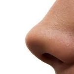 О чем говорит форма носа