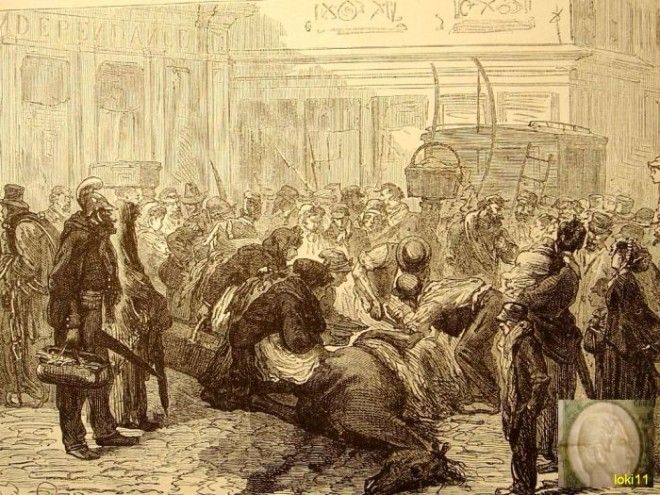 Парижане разделывают павшую лошадь прямо на дороге 1870 год Фото commonswikimediaorg