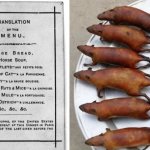 Кошки, крысы и слоны: что приходилось есть парижанам в конце XIX века
