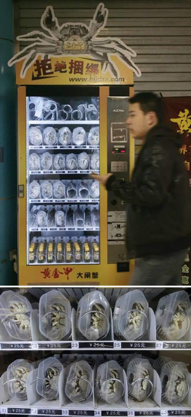 10 самых необычных торговых автоматов 25