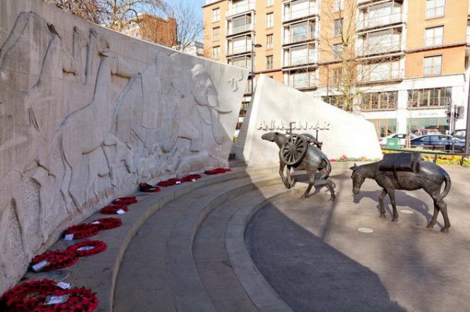 Памятник посвящен всем животным в разные годы погибшим изза воен
