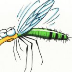 Почему чешется комариный укус?