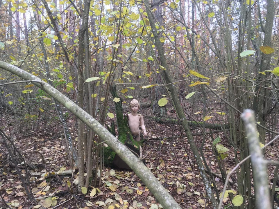 15 случаев, когда люди находили в лесу довольно любопытные, а порой даже пугающие вещи 50