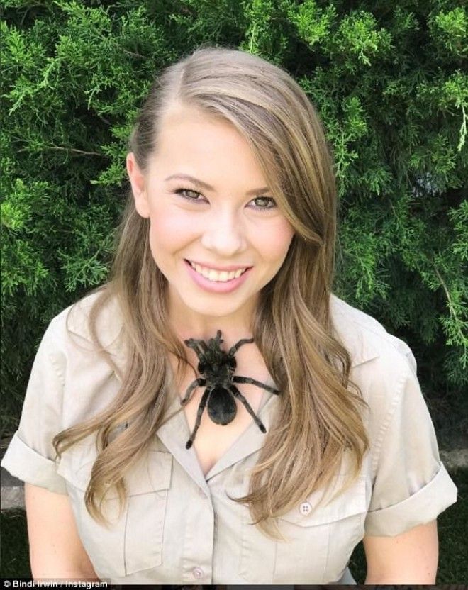 Бесстрашная красавица Бинди Ирвин Бинди Ирвин девушка зоопарк тарантул