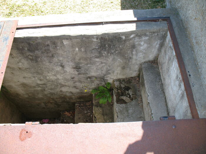 Возле могилы 10-летней девочки в США можно обнаружить загадочную лестницу: куда ведут ступеньки 22