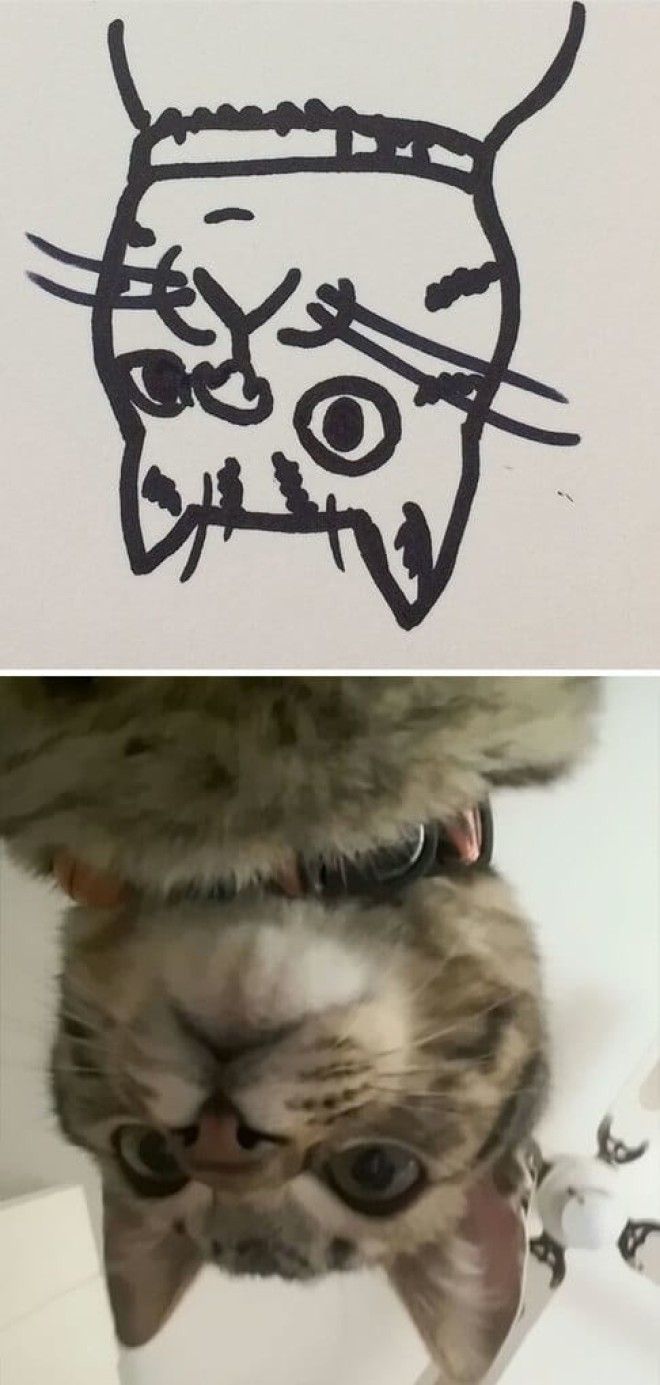 Lогда вам говорят что вы не умеете рисовать кошек но вы с этим не согласны